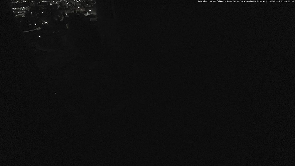 Livebild Nestkamera 1 - Webcam Wanderfalken am Turm der Herz-Jesu-Kirche, Graz (Intervall von ca. 60 Minuten)