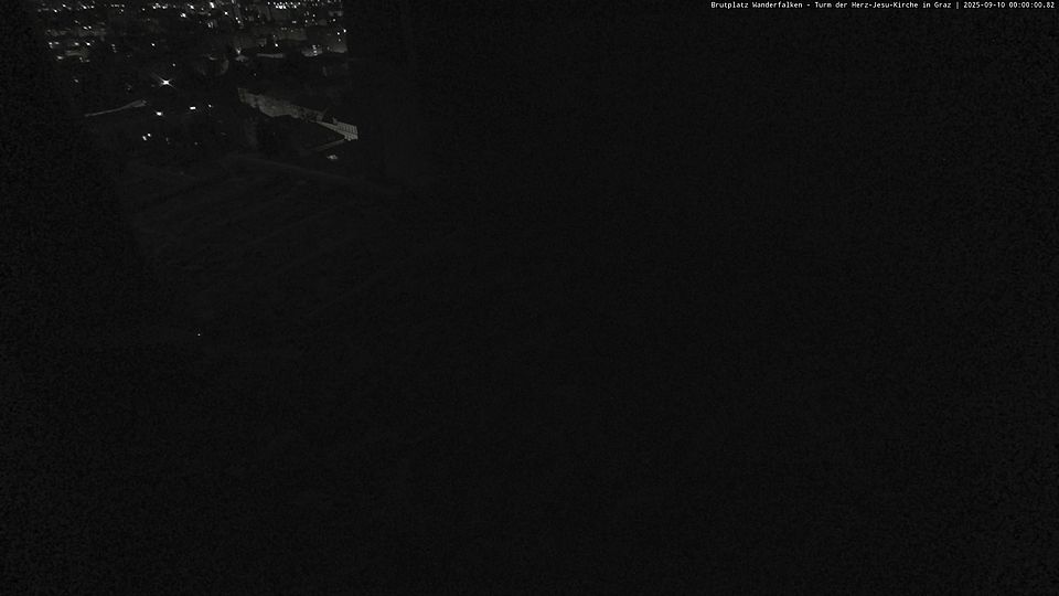 Livebild Nestkamera 1 - Webcam Wanderfalken am Turm der Herz-Jesu-Kirche, Graz (Intervall von ca. 60 Minuten)