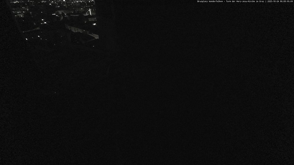Livebild Nestkamera 1 - Webcam Wanderfalken am Turm der Herz-Jesu-Kirche, Graz (Intervall von ca. 60 Minuten)